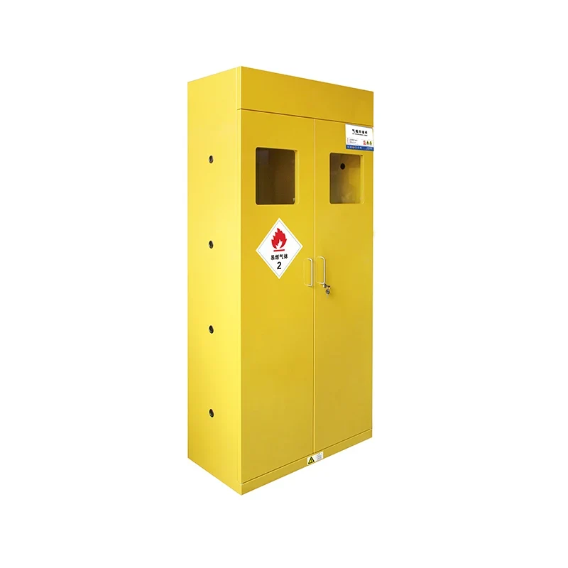 Double-bottle Explosion Proof Gas Cylinder Storage Cabinet